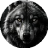 KaraKartal